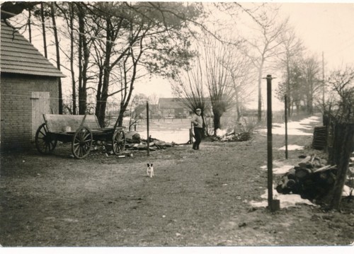 Snapshot vue allée - , maison