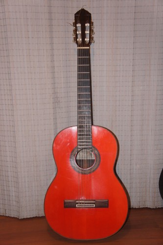Gerundino fernandez 1980 - fernandez,