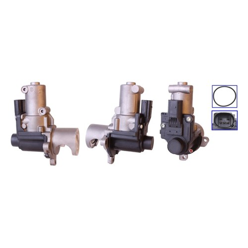 Dri valves egr for - valves,