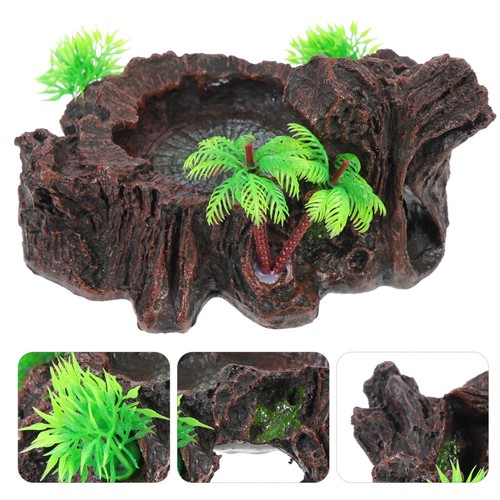 Plat eau tortue - de,