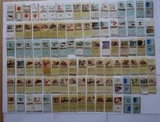 100 Boites d'allumettes