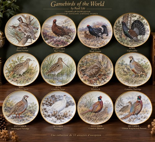 Franklin porcelain - franklin, 12