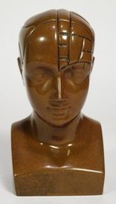 PHRENOLOGY HEAD-Medical