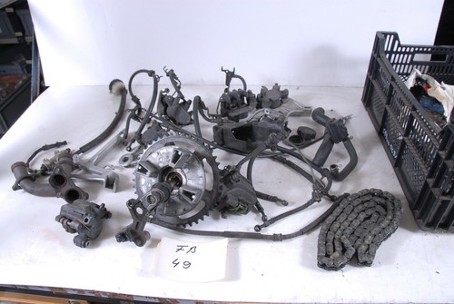 Honda cbr 600 31 - cbr,