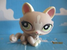 PETSHOP CHAT SPHYNX N°1370