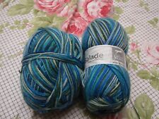 lot de 2 pelotes de laine à Chaussettes  BALADE de CHEVAL blanc 100 grs et 80 gr