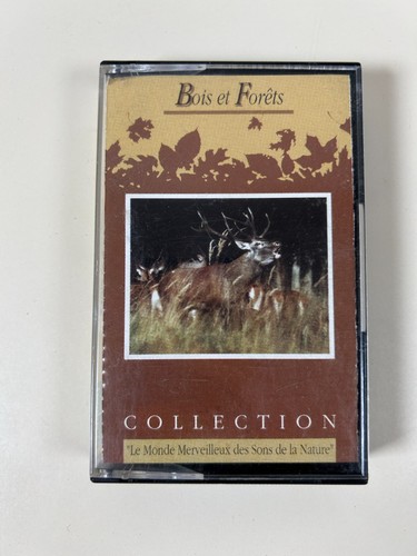 Bois forêts monde - et,