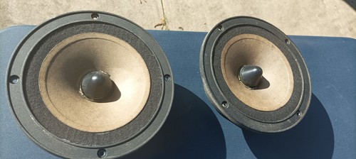 Rare paire mediums - rare,