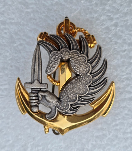 Insigne béret - insigne,