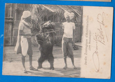 Malabar India, Malabares and a dressed bear, vintage postcard 1903