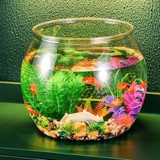  Aquarium En Plastique Vivier