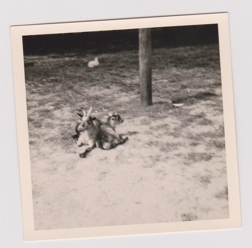 Photo ancienne deux - ancienne, 🎞️