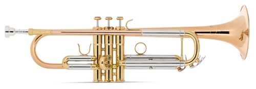 Trompette sib bronze - en,