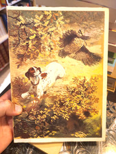 POLET DE FAVEAU | Le chasseur