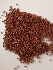 GRANULE DISCUS - DISCUS GRANULATE NOURRITURE ALIMENTS POISSONS GRANULES DISCUS