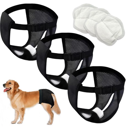 Lot culotte pour chiennes - de,