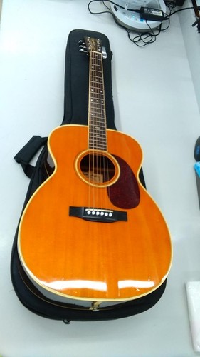 Guitare acoustique électrique