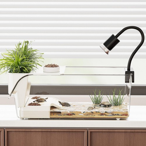 Aquarium pour tortues avec - aquarium,
