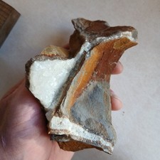 Septaria, Calcite, Mineraux, Fossiles France