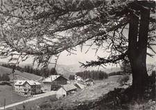 06-VALBERG-N�T565-C/0275