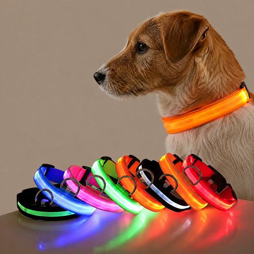 Laisse chien led lumineuse - laisse,