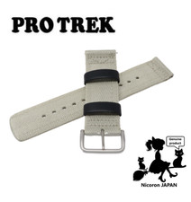 Bracelet de remplacement CASIO