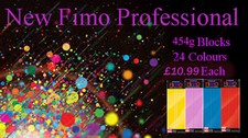 FIMO Professionnel 454g Argile Polymère 24 Couleurs Pour Modelage Bijoux Art