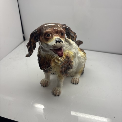 Vintage cavalier king charles - king,