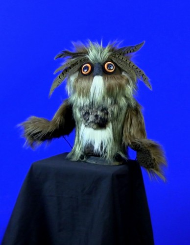 Professional forest owl - professional, owl"
