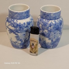 Paire De Vases Porcelaine