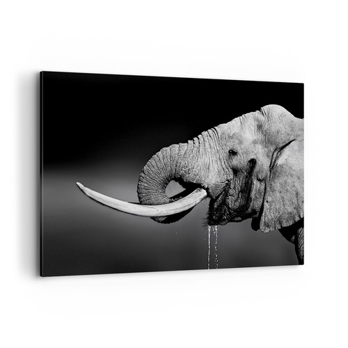 Impression sur toile - toile, 120x80cm