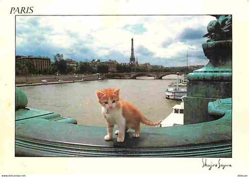 Carte postale animaux - postale,