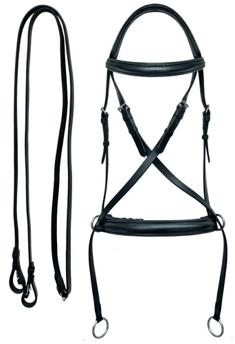 Horse english leather padded - horse,