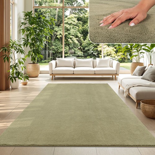 Tapis salon poil - poil, ras