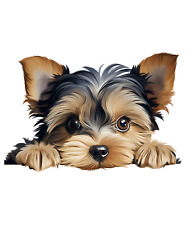 Yorkshire Terrier Car Decal 9X9cm Dogs Sticker