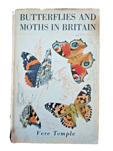 1945 butterflies and moths - butterflies,