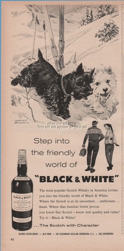 1960 snow skiing - skiing, scottie