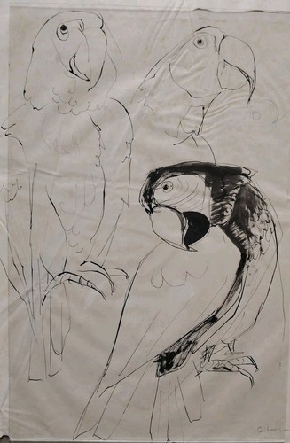 Beau dessin encre etude - beau, du
