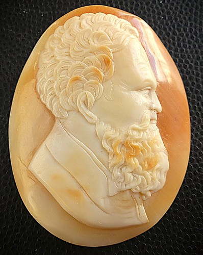 Camee coquille xix xxè homme - xix-xxè.,