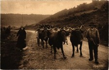 Old postcard Auvergne - Charroi du bois de firewood (72877)