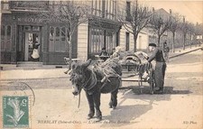 CPA 95 HERBLAY L'ANESSE DU PERE BERTHIER (character named beautiful cpa TOP!