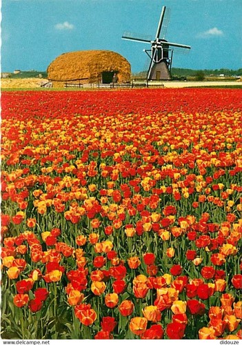 Carte postale moulin - carte,