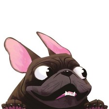 3 PCS D-840 D-840 graphique en