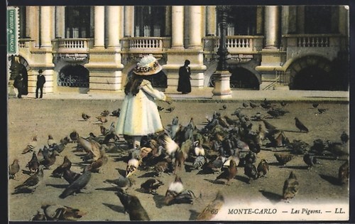 Cpa monte carlo les - cpa, pigeons