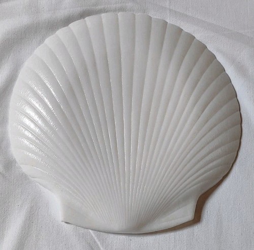 Plat coquille saint jacques - saint, en