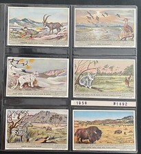 6 CHROMOS ITALIAN NUMBER S1692 NATIONAL PARKS 1958