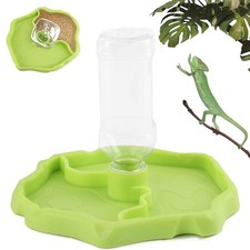 Distributeur d'eau Reptile