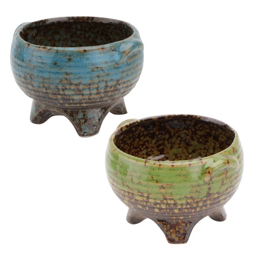 Pcs pot succulentes fleur - 2,