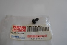 Vigne Fourche Avant Front Fork Vis Yamaha MBK Nitro Naked 50 09-12