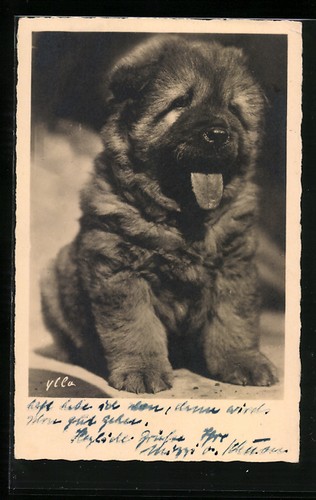 Carte postale petit - carte,